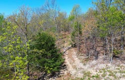 Firebreak Trail, Rea Valley, AR 72634