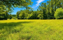 8409 DIEL ROAD, Bastrop, LA 71220