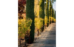 1096 Hardman Avenue, Napa, CA 94558
