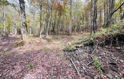 33213 Veterans Memorial Highway, Terra Alta, WV 26764