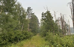 Kelly Lake Road, Barnes, WI 54873