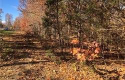 Long Hollow Rd, Versailles, MO 65084