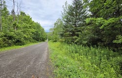 L28.03 Halbert Hill Rd, Butternuts, NY 13809