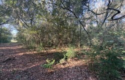 BUNDY LAKE Road, Keystone Heights, FL 32656