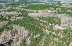 2521 SC - 268, Mount Croghan, SC 29727