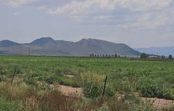 9601 S Robison Road, Willcox, AZ 85643