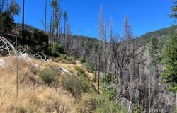 02 Hayfork Summit, Junction City, CA 96048