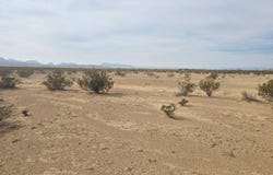 15470 Agatha Rd, Alpine, TX 79830