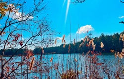 1 Mt Olive Road, Butler, AL 36904