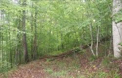 OFF RT 16 Road, Ivydale, WV 25113