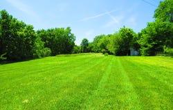 503 N Nettleton Avenue, Mansfield, MO 65704