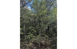 251 Iva Ln, Bastrop, TX 78602