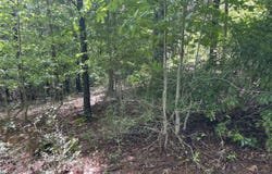River Mountain Road lot: 96, Murphy, NC 28906