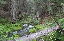 19a Daisy Gulch Rd, Mullan, ID 83846