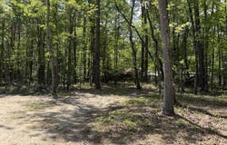 115 Ash Hill Drive, Eutawville, SC 29048