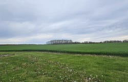 3815 Van Vleck Road, Fenwick City, MI 48834