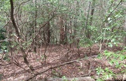 315 Falcon Crest Way, Pickens, SC 29671