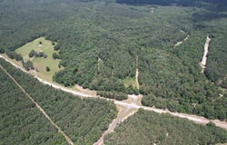 FM 999, Gary, TX 75643