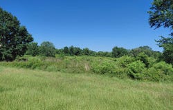 STATE HIGHWAY 288, Angleton, TX 77515