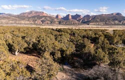 5 Acres + 1 AFW, New Harmony, UT 84757