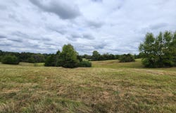 11.1 Bub Jamison Road, Coldwater, MS 38618