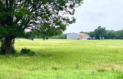 1179 County Road 1990, Chico, TX 76431