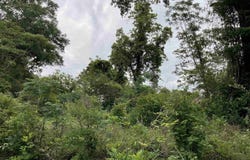 3494 Railroad Avenue, Bamberg, SC 29003-0000