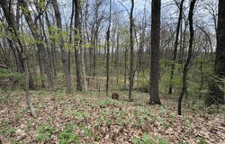 5241 Moscow Road, Spring Arbor, MI 49283
