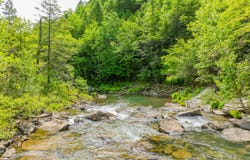 Echo Point Road, Dunlap, TN 37327