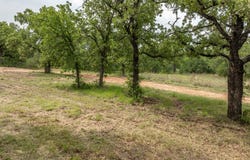 2850 County Road 434, Dublin, TX 76446