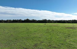 TBD E. Hwy 290, Giddings, TX 78942
