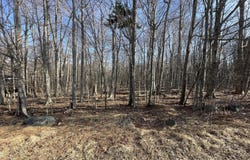 1324-1326 Winding Way, Tobyhanna, PA 18466