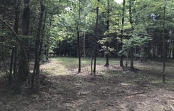 Quail Trl lot: 38, Dunlap, TN 37327
