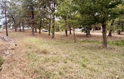 N Maple Street, Blue Eye, MO 65611