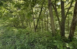 Fairmount Road, Maysville, MO 64469