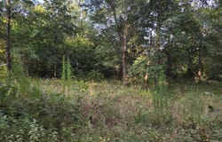 101-H 4272, Rattan, OK 74562
