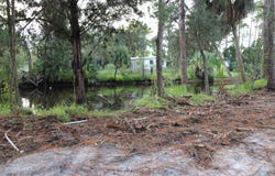 SE 235th St, Suwannee, FL 32692