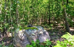 0000000 Easement, Annapolis, MO 63620