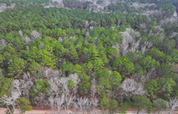Silva Drive lot: 2, Hamilton, GA 31811