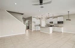 1167 OCEAN SPRAY Drive, RUSKIN, FL 33570