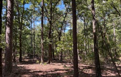 274-A Monkey Wrench Trail, Moyers, OK 74557