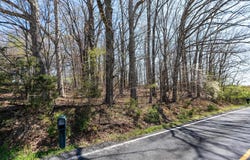 0.67 Acres SHUTTERLEE MILL RD, STAUNTON, VA 24401
