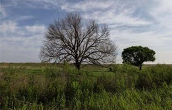 0042 E 4500 Road, Pawnee, OK 73061