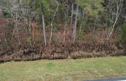 Nc-304, Bayboro, NC 28515