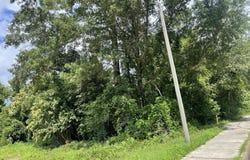 Carters Mill Road, Marianna, FL 32446