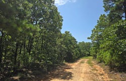 Indian Ridge lot: 63, Daisy, OK 74540