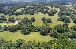 1150 Veazey Road, Coldwater, MS 38618