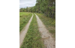 7786 Covington Drive, Cheboygan, MI 49721