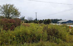 Route 90, Homer, NY 13077