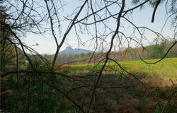 4 Old Mill Road, Pinnacle, NC 27043
